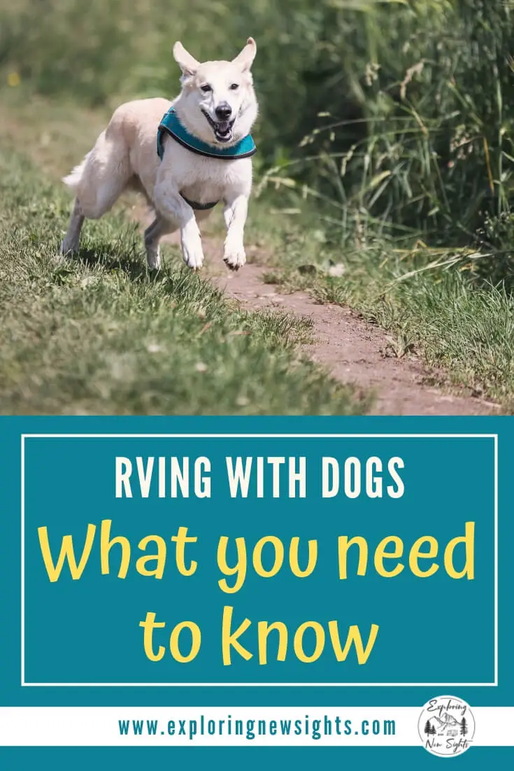 RV With Dogs - What to Expect RVing with dogs 2 - RV With Dogs - What to Expect