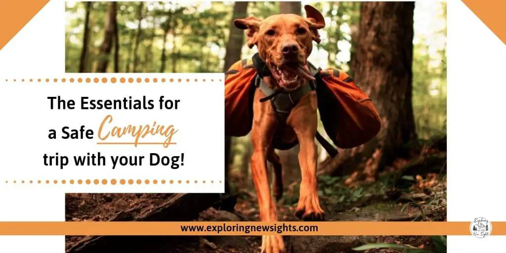 The Essentials for a Safe Camping Trip with your Dog(s) www.exploringnewsights.com 2 - The Essentials for a Safe Camping Trip with your Dog(s)