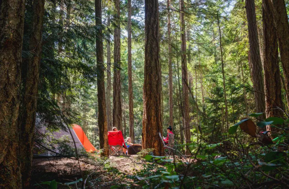 Family Camping | Tips for Planning the Perfect Trip