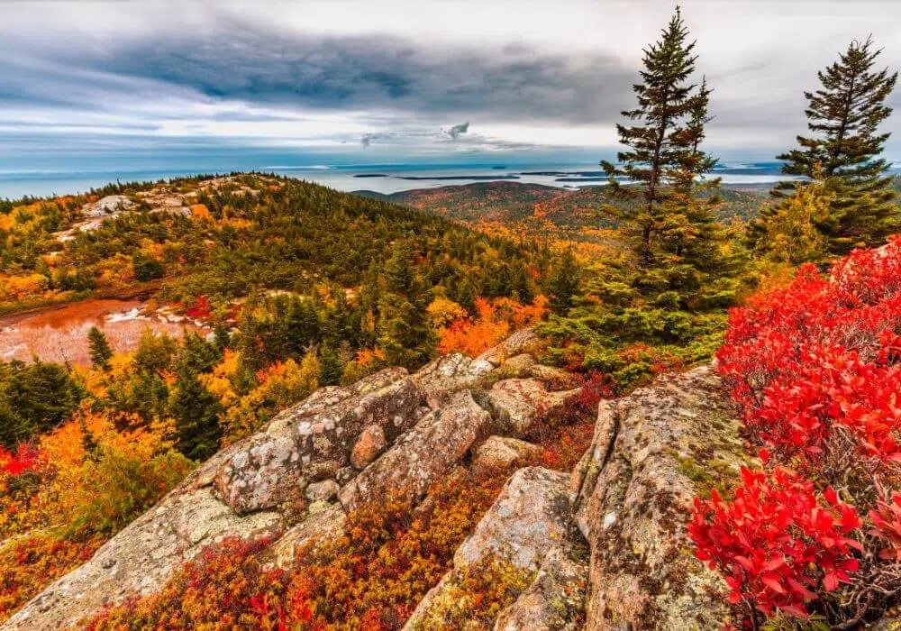 Acadia National Park - Fall Foliage