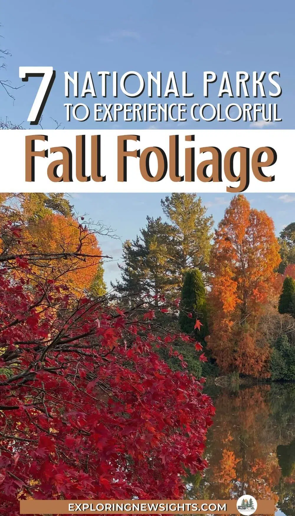Colorful Fall Foliage