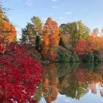 Top 7 National Parks to Experience the Gorgeous Fall Foliage